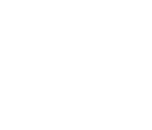 The Thunderbirds